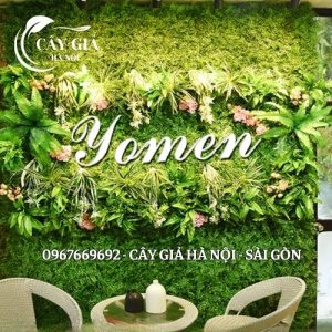 Tường Cây Giả Cho Chủ Hộ Chung Cư Tại Đà Nẵng