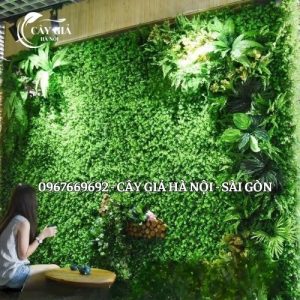 Thi công tường cây giả Hà Nội giá rẻ