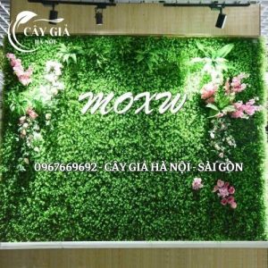 Thi công tường cây giả Hà Nội giá rẻ