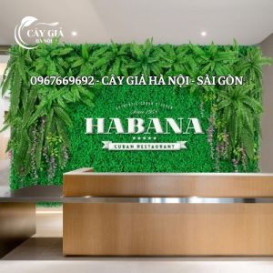 Thiết Kế Tường Cỏ Nơi Làm Việc: Tạo Không Gian Xanh Mát và Sáng Tạo