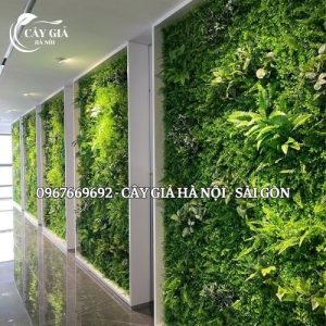 Thiết Kế Thi Công Tường Cỏ Cho Văn Phòng Phẩm Tại Miêu Nha, Từ Liêm, Hà Nội