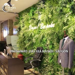 cây gỉa hà nội