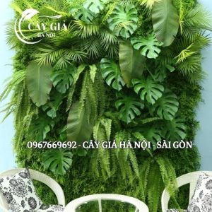 cây gỉa hà nội