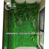 Thiết Kế Và Thi Công Tường Rêu Giả Cho Khách Sạn tại Hà Nội