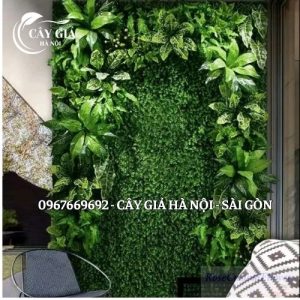 Thi công tường cây giả chung cư tại Hà Nội