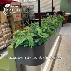 Thi Công Và Thiết Kế Bục Cây Theo Yêu Cầu