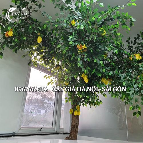 Cây Khế Giả Thiết Kế Kích Thước Theo Yêu Cầu - Ảnh 2