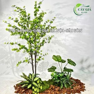 Cây Thạch Nam Giả Thiết Kế Kích Thước Theo Yêu Cầu