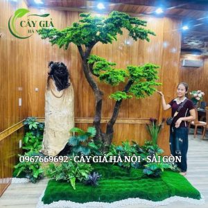 cây tùng - cây giả hà nội