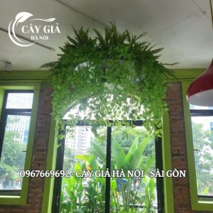 Thi Công Chậu Cây Giả Cho Khách Tại Chương Mỹ