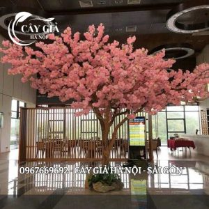 Thiết Kế Cây Đào Decor Quán Cà Phê
