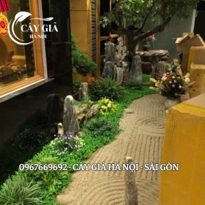 Thi công tiểu cảnh tại Hà Nội