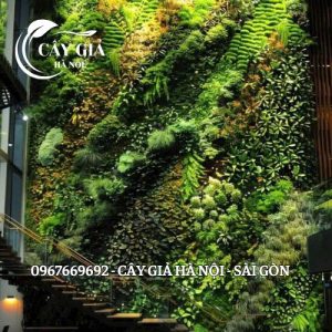 Thi công tường rêu tại khách sạn